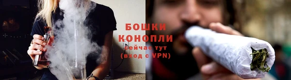 apvp Богданович