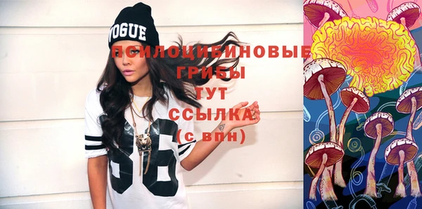apvp Богданович
